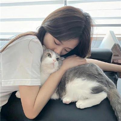 西塔福德之谜